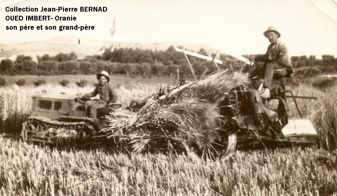 Oran- SDV- 4654-BERNAD.jpg